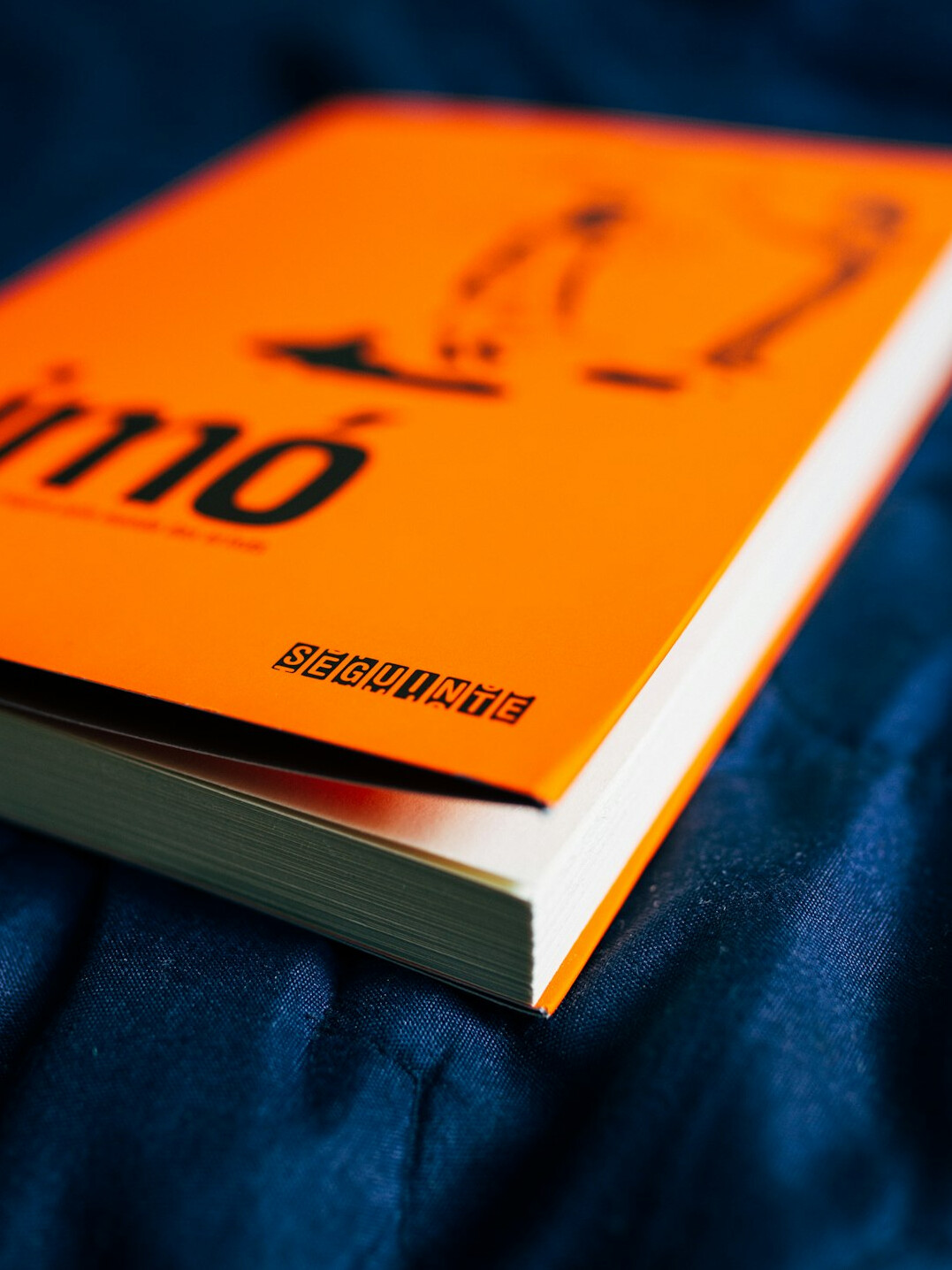 published book cover